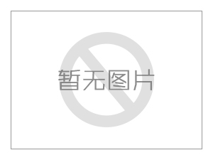 大型不鏽鋼攔汙格柵